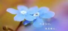 易金通拿出勇气面对过去的恐惧 易金通拿出勇气面对过去的恐惧